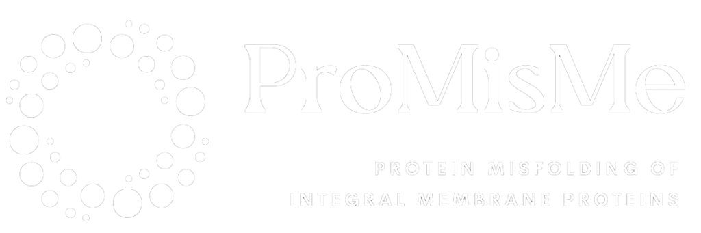 promisme logo final transparent